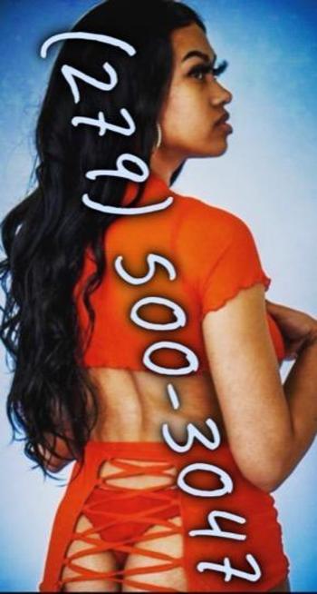 2795003047, female escort, Santa Maria